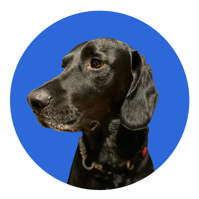 Bruno