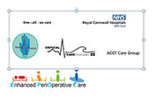 Royal Cornwall Hospital Trust 