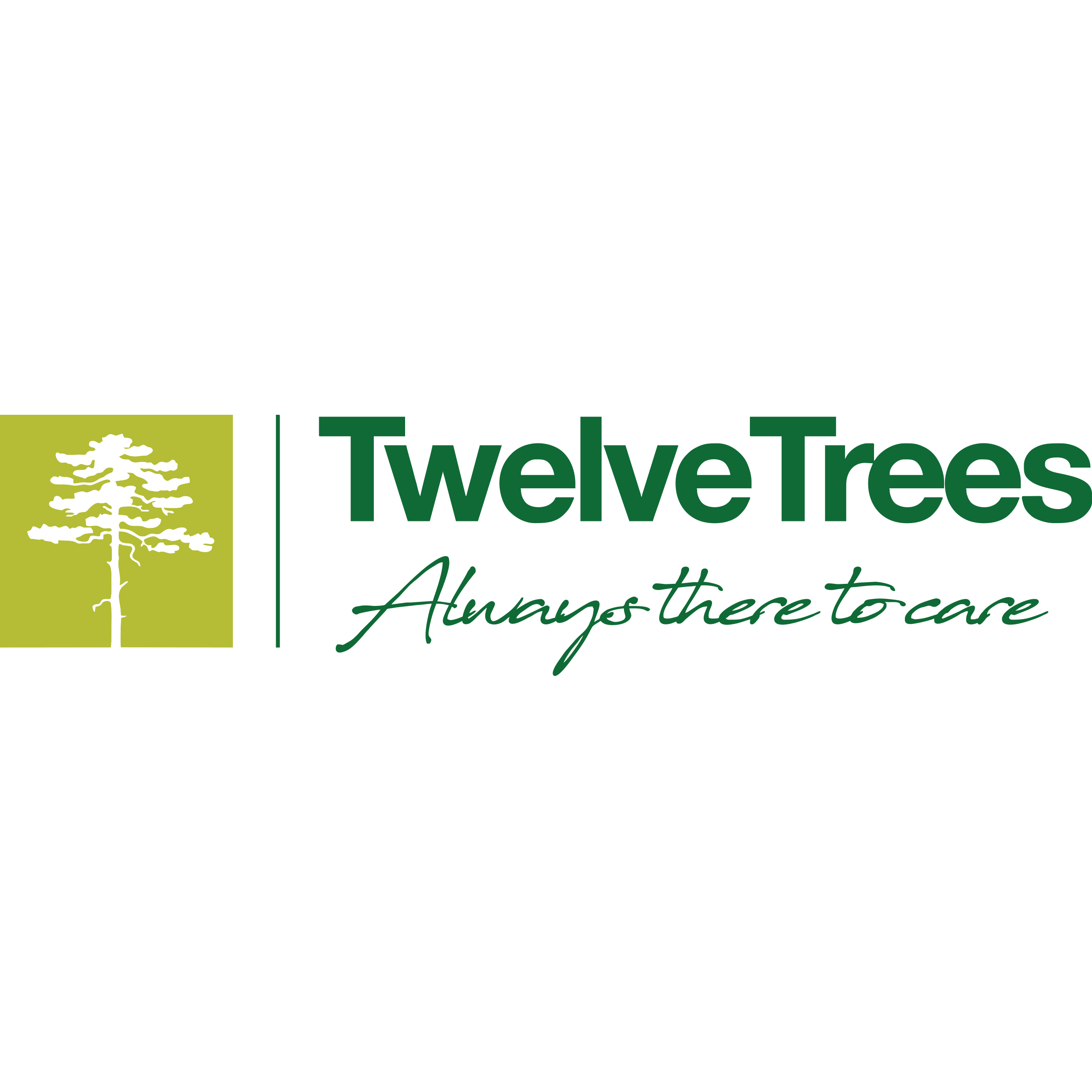 Twelve Trees