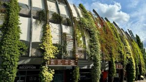Kia Oval