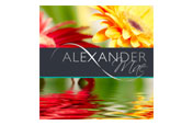 Alexander Mae Recruitment